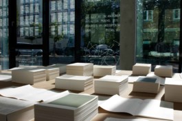 The Mistake of this Book is to be a Book, printed matter, exhibition, by Jian Haake (ohjian)