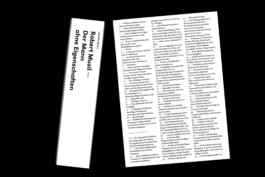 The Man Without Qualities, An Experiment, experimental book design, two books, by Jian Haake (ohjian)