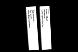 The Man Without Qualities, An Experiment, experimental book design, two books, by Jian Haake (ohjian)