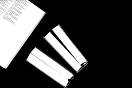 The Man Without Qualities, An Experiment, experimental book design, two books, by Jian Haake (ohjian)