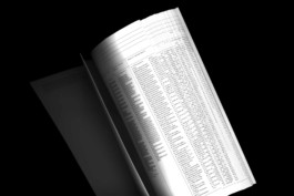 The Man Without Qualities, An Experiment, experimental book design, folder, by Jian Haake (ohjian)