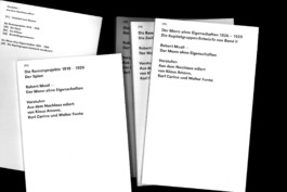 The Man Without Qualities, An Experiment, experimental book design, five books, by Jian Haake (ohjian)