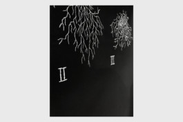 Robert Musil's sense of possibilities in The Man Without Qualities, experimental book design, exhibition, by Jian Haake (ohjian)