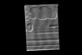 Summer School 2022 – Ghost Files, publication, workshop by Jian Haake (ohjian)