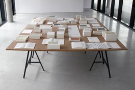 The Mistake of this Book is to be a Book, printed matter, exhibition, by Jian Haake (ohjian)