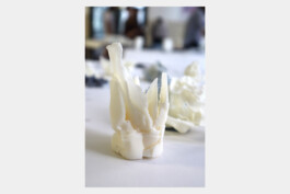 Summer School 2021 – Future Record, publication, workshop by Jian Haake (ohjian)